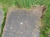 image of grave number 947395